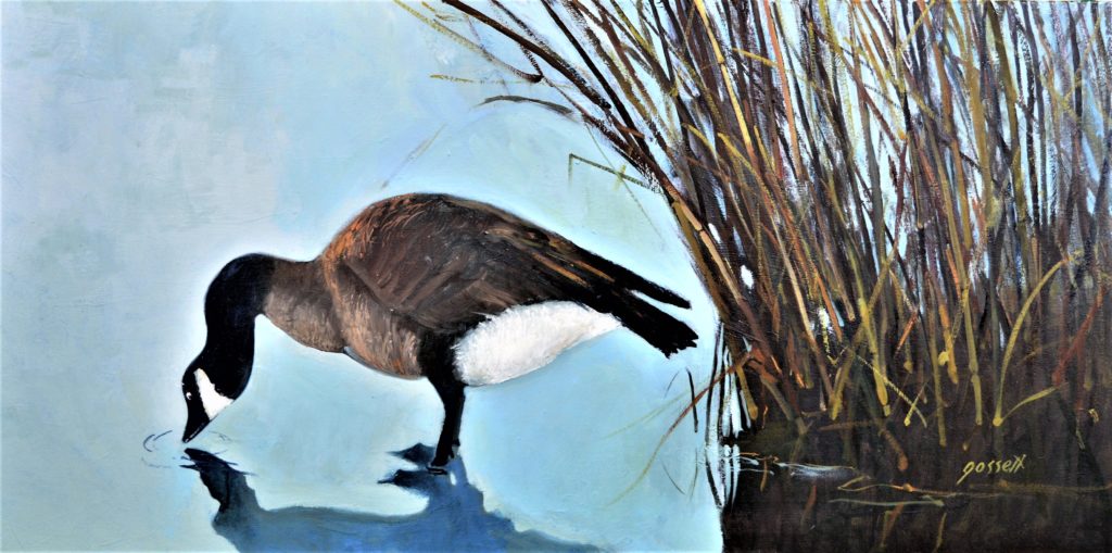 Canadian Goose, oil on canvas.